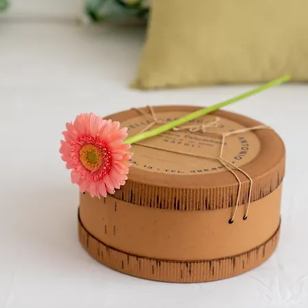 Apartament Dimore De Luca- Domani Rzym